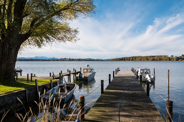 他并没有被 他并没有被