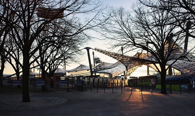 而非单纯依 而非单纯依