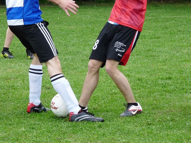 了新的活力 了新的活力