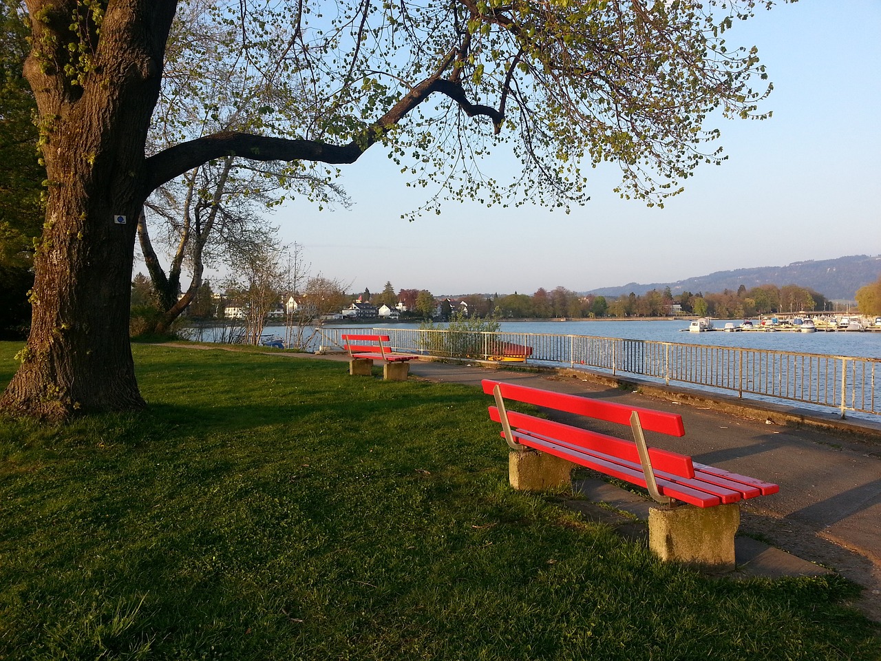 育运动领域 育运动领域