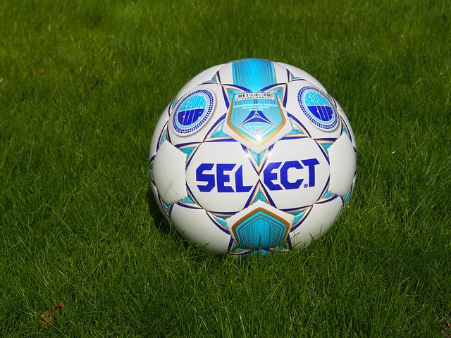 素质和技术 素质和技术