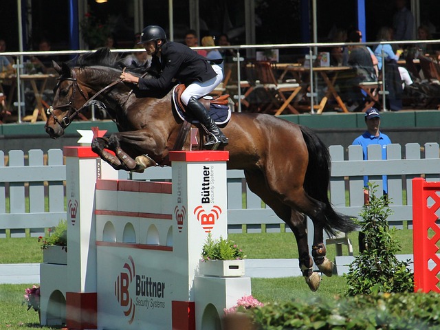 同时也是全 同时也是全